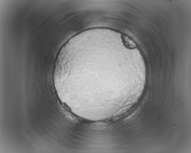 X0000068841137200606021702