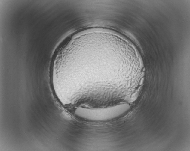 X0000068841138200606021702