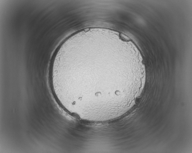 X0000068841139200606021702