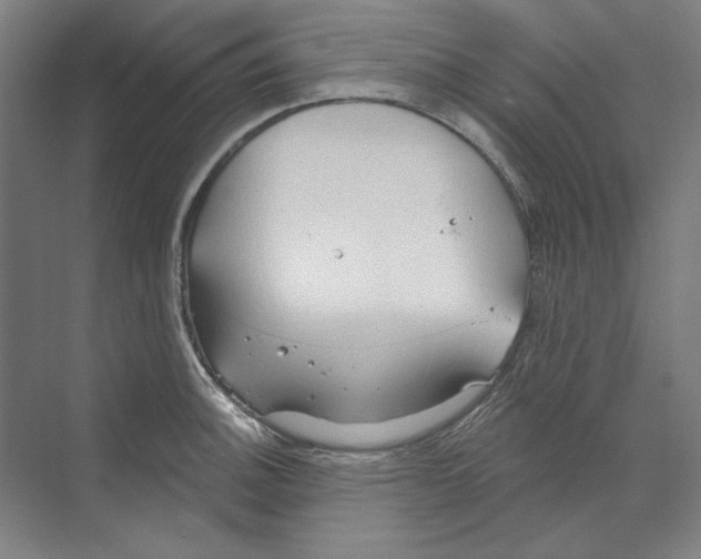 X0000068841140200606021702