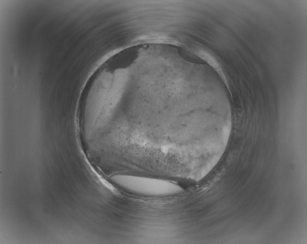 X0000068841141200606021702