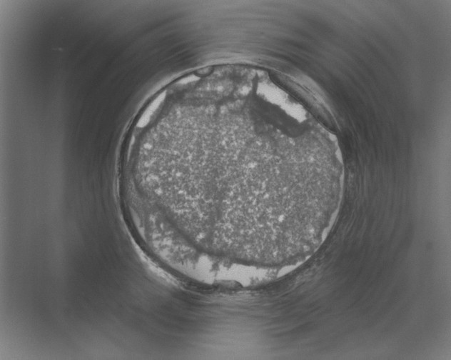 X0000068841143200606021702