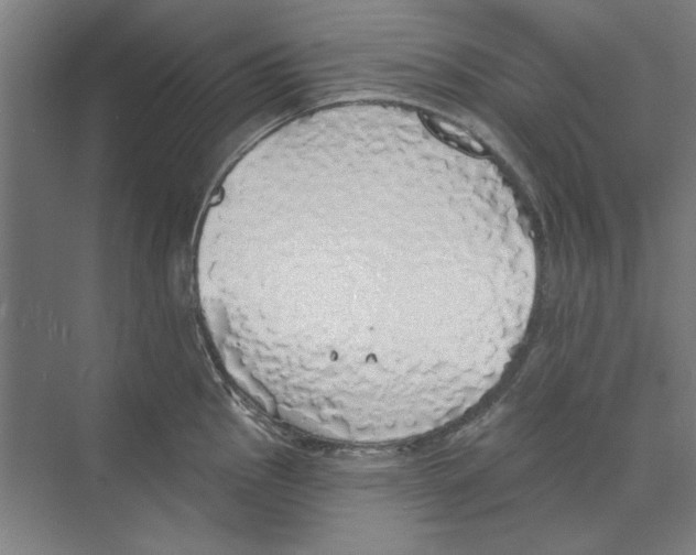 X0000068841145200606021702