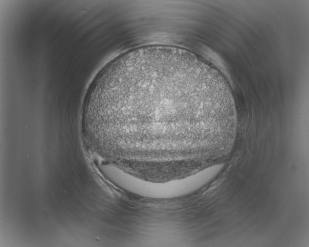 X0000068841146200606021702