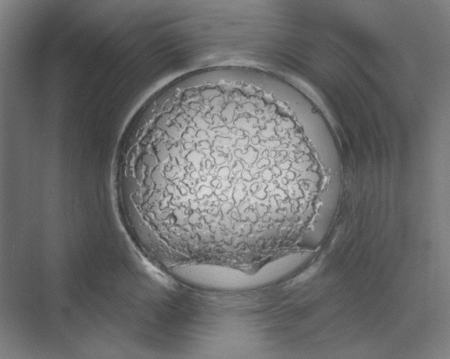 X0000068841149200606021702