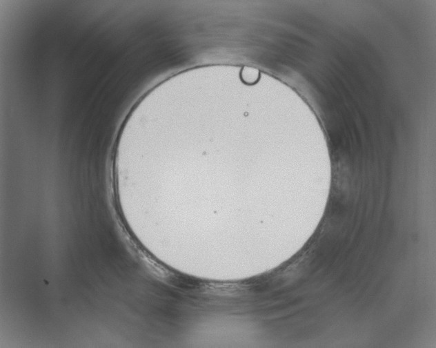 X0000068841150200606021702