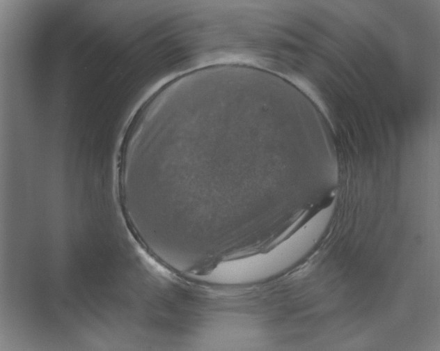 X0000068841151200606021702