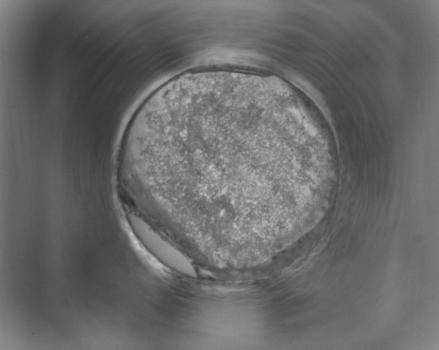 X0000068841152200606021702