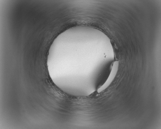 X0000068841153200606021701