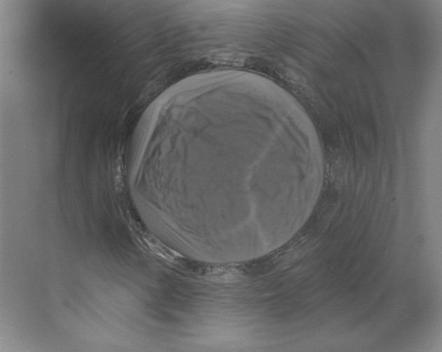 X0000068841154200606021701