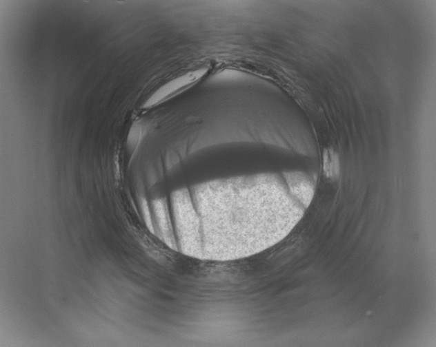 X0000068841155200606021701