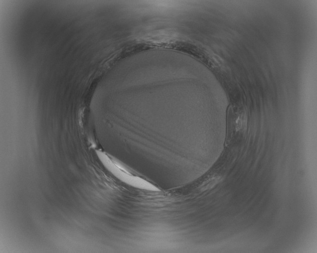 X0000068841156200606021701