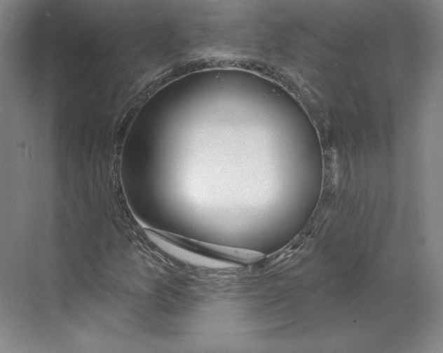 X0000068841157200606021701