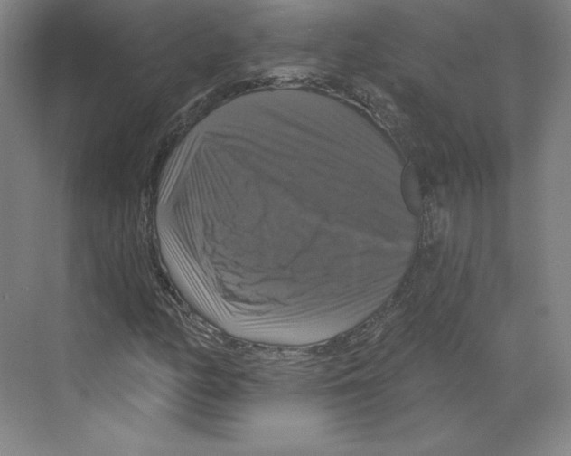 X0000068841158200606021701