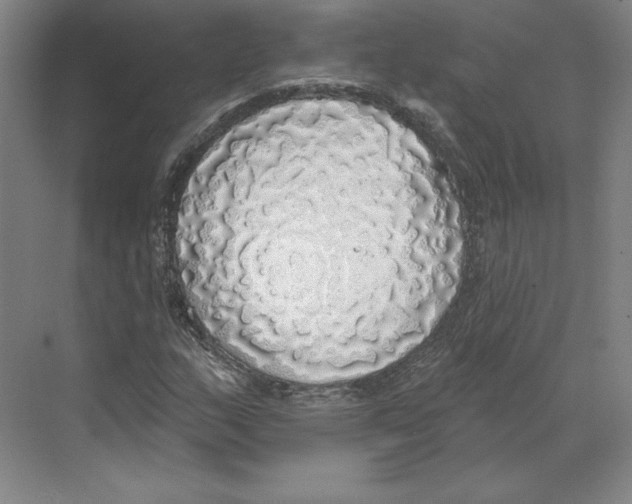 X0000068841159200606021701