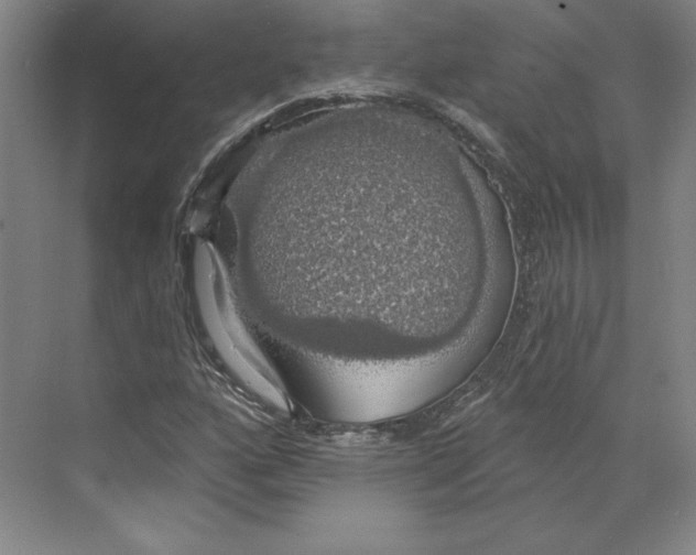 X0000068841160200606021701