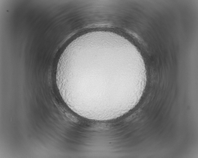 X0000068841162200606021701