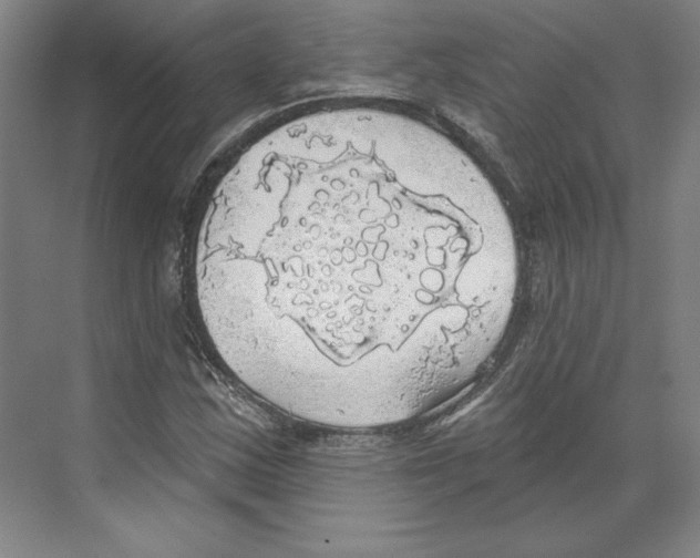 X0000068841163200606021701