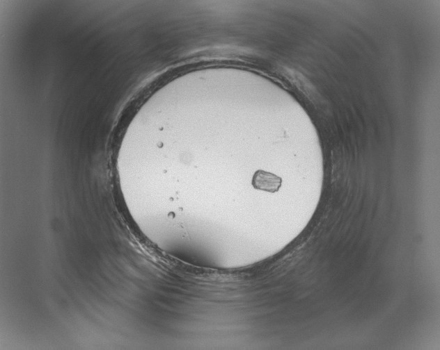 X0000068841164200606021701