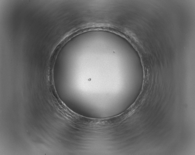 X0000068841165200606021701