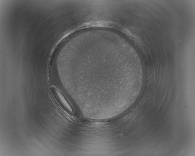 X0000068841166200606021701