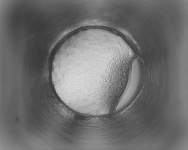 X0000068841167200606021701