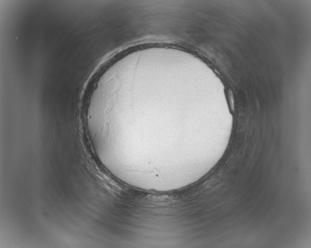 X0000068841168200606021701