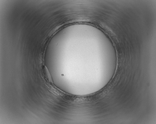 X0000068841169200606021701