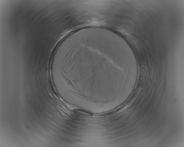 X0000068841170200606021701