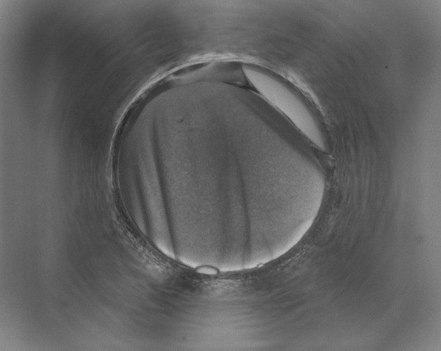 X0000068841173200606021701