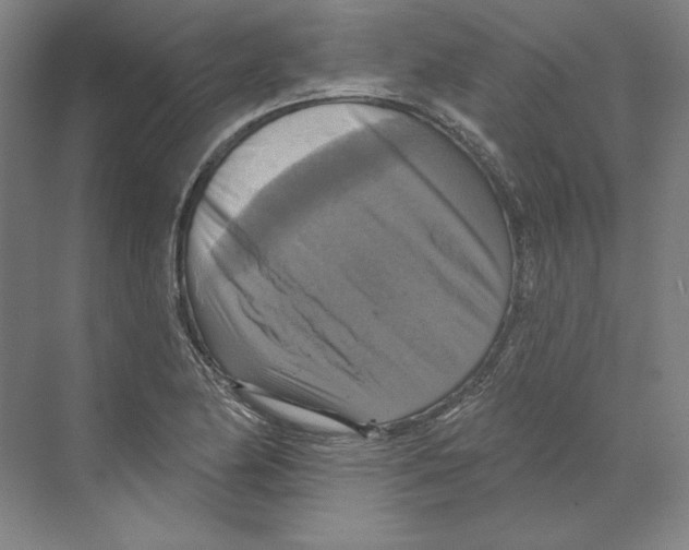 X0000068841174200606021701