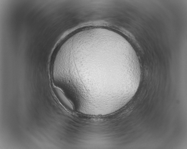 X0000068841176200606021701