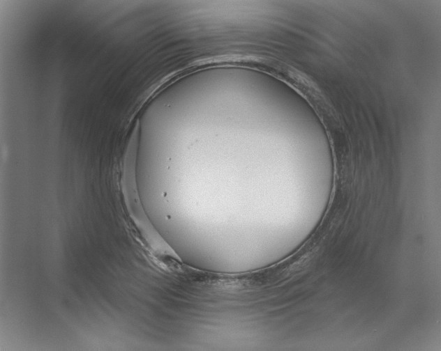 X0000068841177200606021701