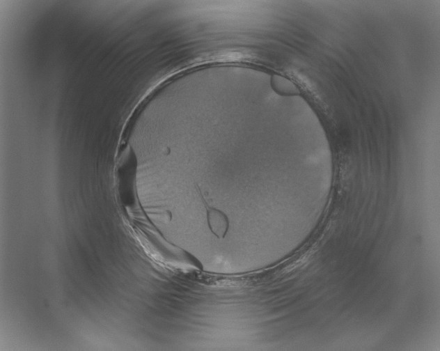 X0000068841178200606021701