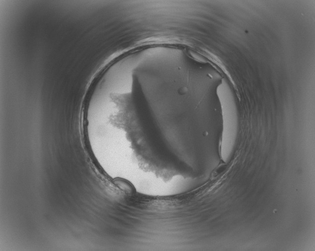 X0000068841179200606021701