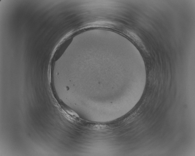 X0000068841180200606021701