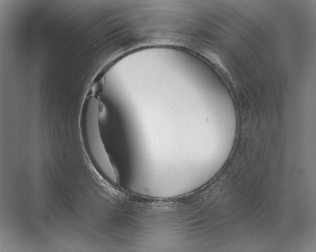 X0000068841181200606021701