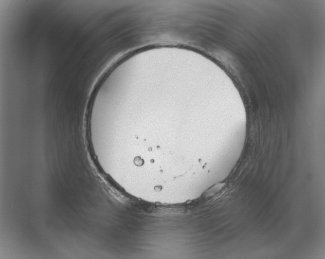 X0000068841183200606021701