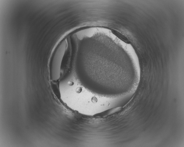 X0000068841184200606021701