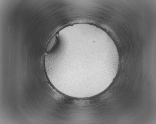 X0000068841185200606021701