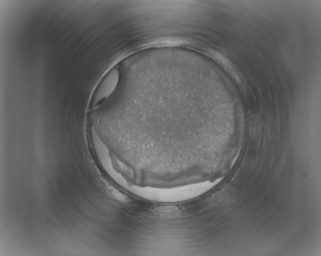 X0000068841186200606021701