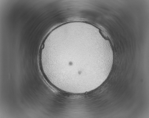 X0000068841187200606021701