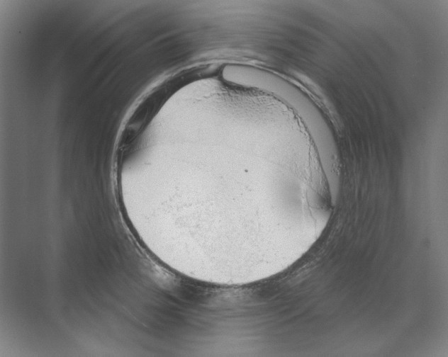 X0000068841188200606021701