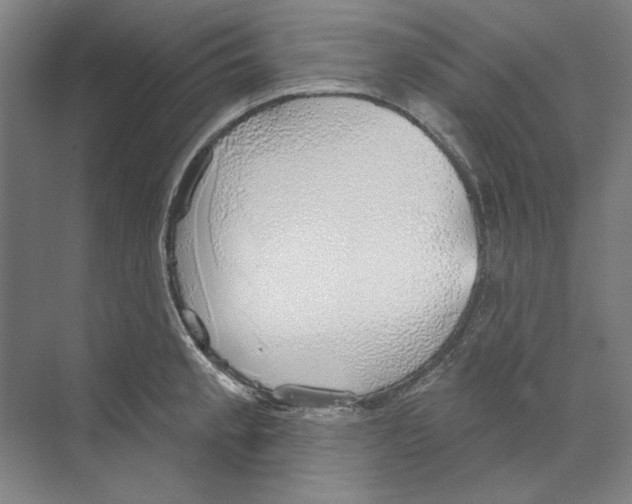 X0000068841189200606021701