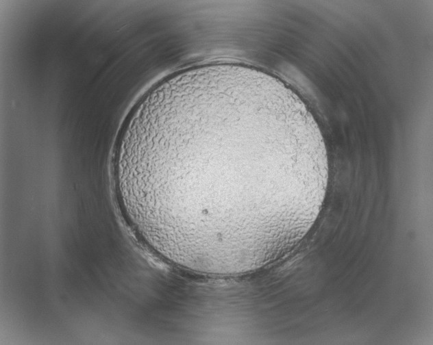 X0000068841190200606021701