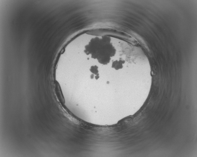 X0000068841192200606021701