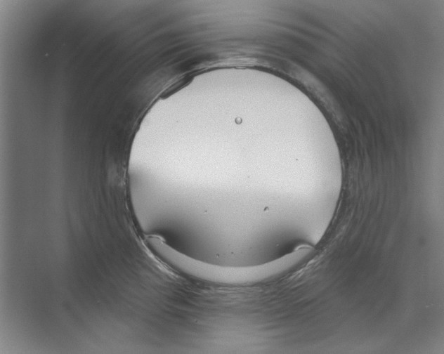 X0000068841193200606021701