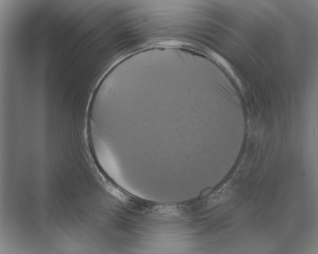 X0000068841194200606021701