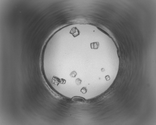 X0000068841195200606021700