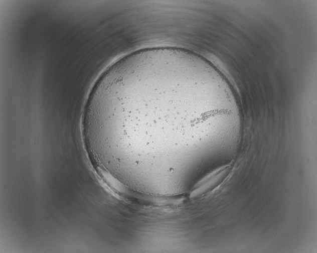 X0000068841197200606021700